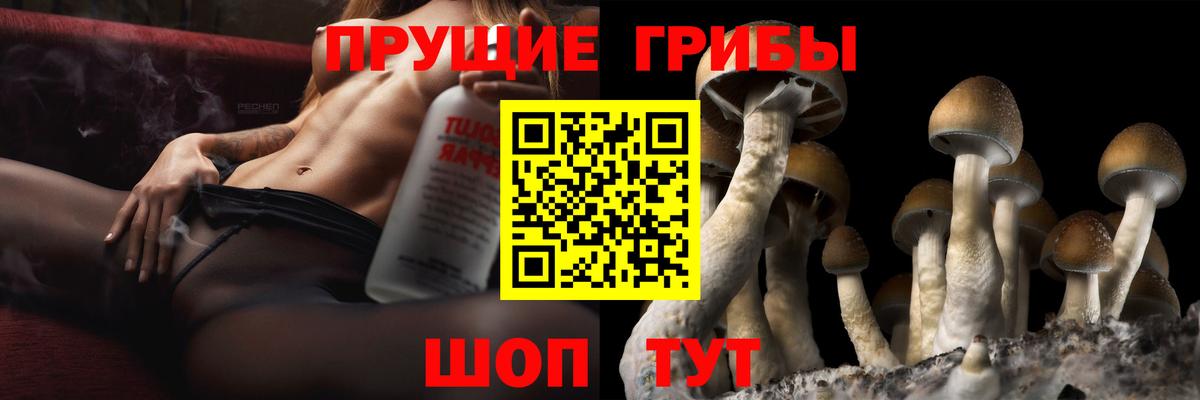 Псилоцибиновые грибы мухоморы  Вход с VPN  Екатеринбург 